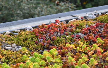 the cost of St Johns Chapel green roof installation